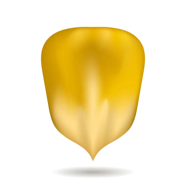 Semilla de maíz amarillo madura aislada — Archivo Imágenes Vectoriales