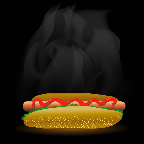 Sokak Fast Food. Taze Hot Dog. Sağlıksız Yüksek Kalorili Yemek — Stok Vektör