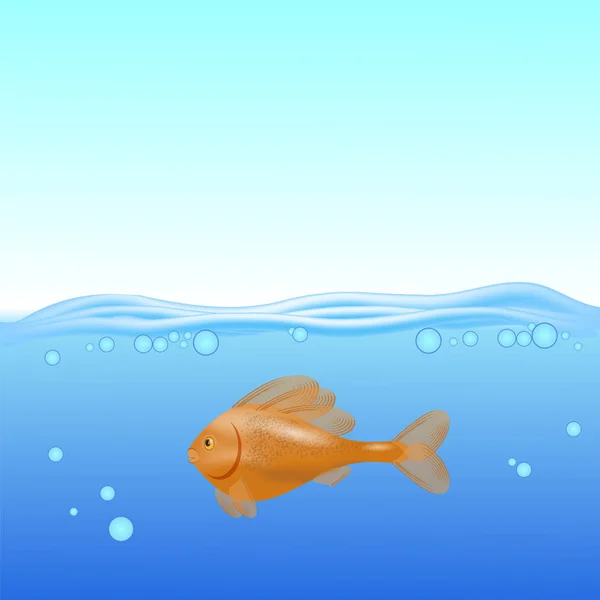 紅海で泳ぐ赤い魚背景 — ストックベクタ