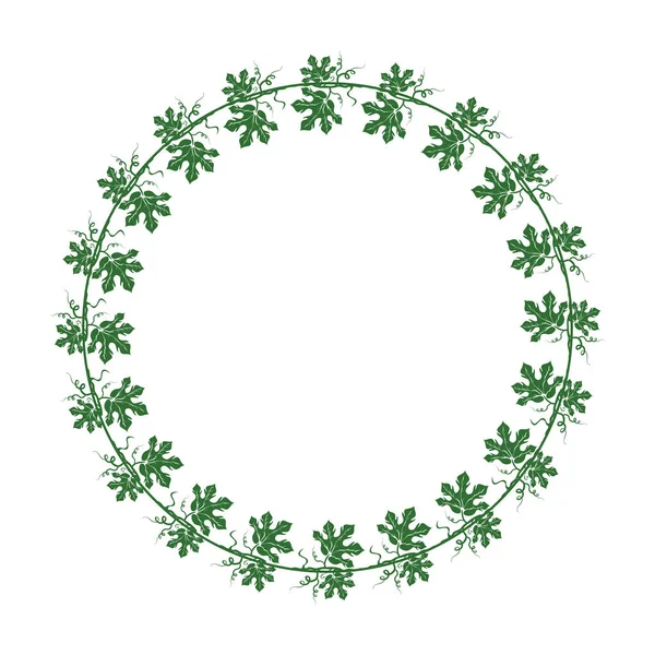 Cadre végétal vert isolé sur fond blanc — Image vectorielle