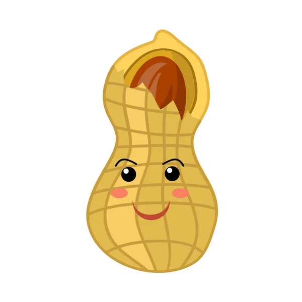 Tasty Cartoon Peanut Icon Isolated auf weißem Hintergrund. Nusskerne — Stockfoto