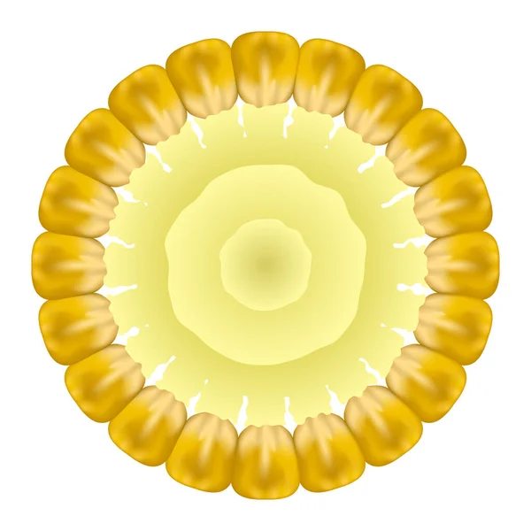 Biologische gele verse maïs. Natuurlijk Goud Zoet Eten. Zomer Golden Vegetarische Suikermaïs Textuur. Zaad Ornament. — Stockfoto