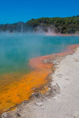 Yeni Zelanda 'daki Wai-O-Tapu sülfür göletinde dumanı tüten bir koku. Malzemesiz Kraliyet fotoğrafı..