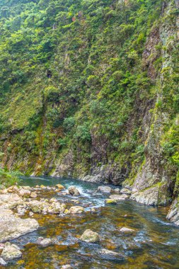 Karangahake Boğazı 'ndaki Ohinemuri Nehri Yeni Zelanda' daki kayalıklarda bir tur atıyor. Malzemesiz Kraliyet fotoğrafı..