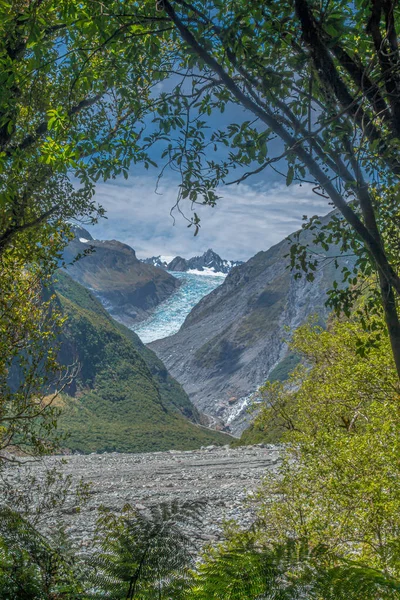 Uitzicht Fox Glacier Vanuit Verte Omlijst Door Bomen Bergen Nieuw — Stockfoto