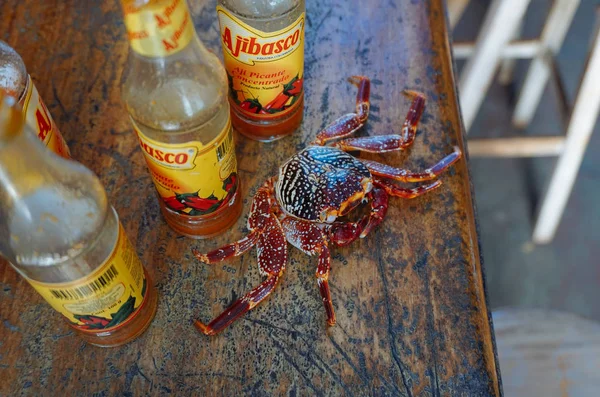 Um caranguejo com molho picante — Fotografia de Stock