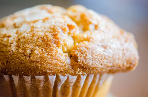 Arany finom muffin — Stock Fotó