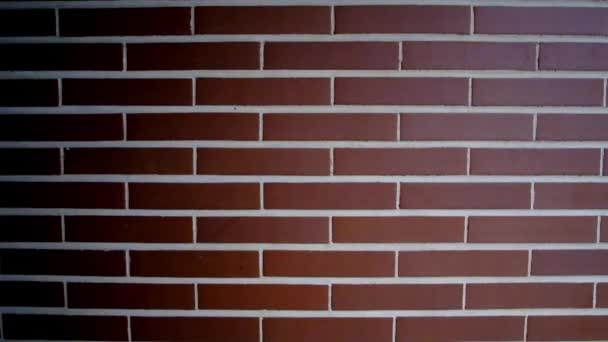 Wall composed by 10 rows of bricks with light coming from the right and shadows on the left side — Stock Video