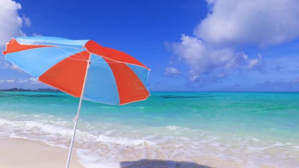 Verão na praia — Vídeo de Stock
