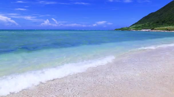 夏日的海滩 — 图库视频影像