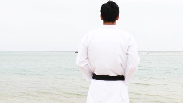 Un karate kata formazione uomo — Video Stock