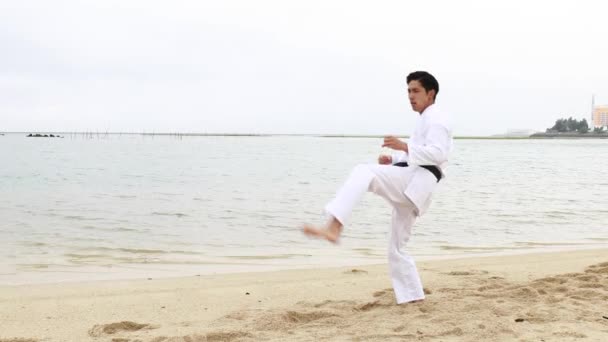 Un kata de karate hombre de entrenamiento — Vídeo de stock