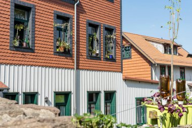 Pencerede çiçekler