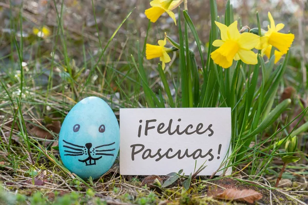 A Happy Easter — Stock Photo, Image