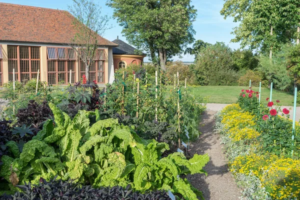 vegetable and ornamental garden