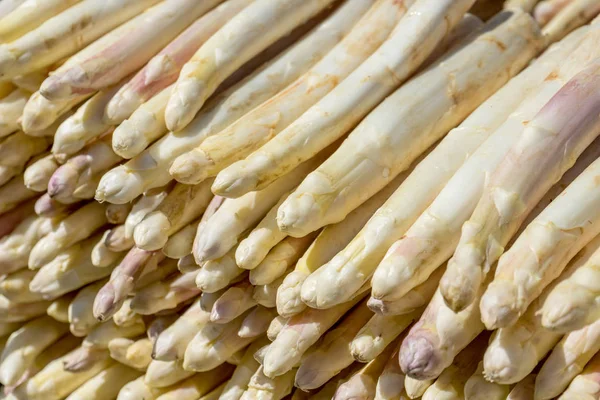 Fresh, white asparagus — Stock Photo, Image