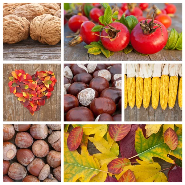 Frutas y hojas — Foto de Stock