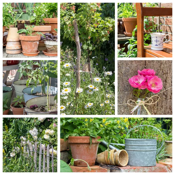 夏の庭 — ストック写真