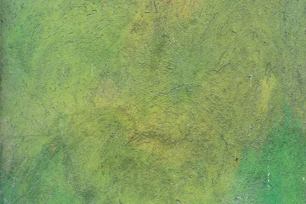 Yeşil boyalı cephe — Stok fotoğraf