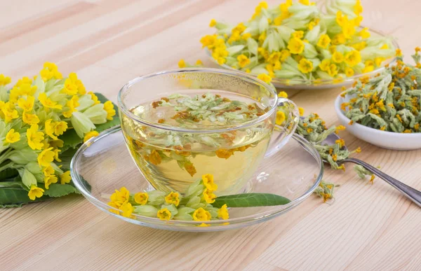 Tea from cowslips — Stock Photo, Image