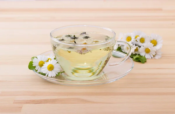 Tea with daisies — Stock Photo, Image