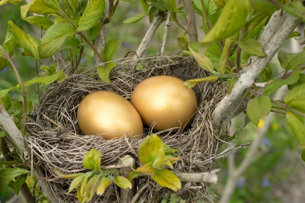 Dos huevos de Pascua dorados — Foto de Stock