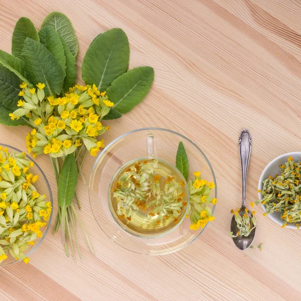 Tea from cowslips — Stock Photo, Image