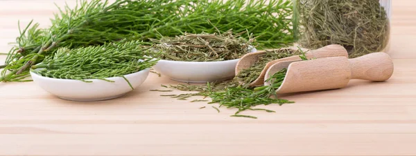 Chá de cavalinha de campo — Fotografia de Stock