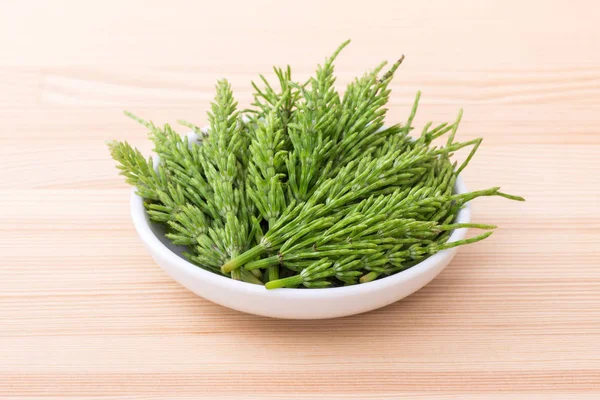 Fresh field horsetail — Stock Image Fresh field horsetail Stock Picture