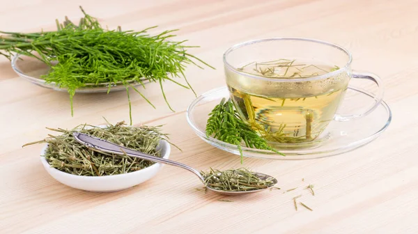 Field horsetail tea — Stock Image Field horsetail tea Royalty Free Stock Photos