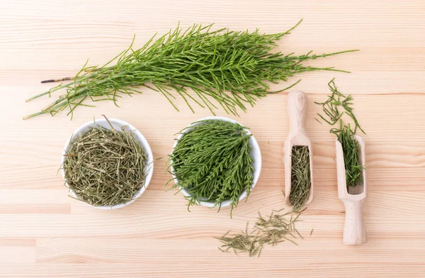 Field horsetail tea — Stock Image Field horsetail tea Stock Image