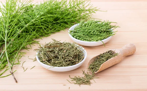 Field horsetail tea — Stock Image Field horsetail tea Royalty Free Stock Photos