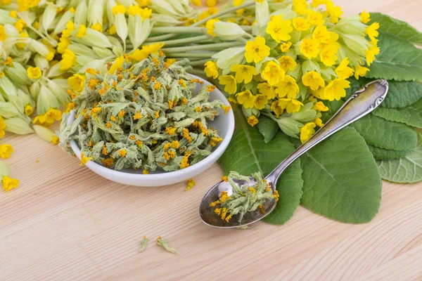 Flor de resbalones de vaca secos —  Fotos de Stock