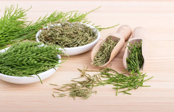 Field horsetail tea — Stock Image Field horsetail tea Stock Picture