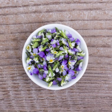 küçük, violet heartsease 