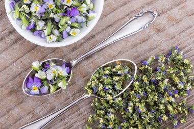 küçük, violet heartsease