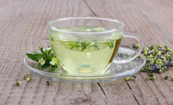 Herbal tea with heartsease — Stock Photo, Image