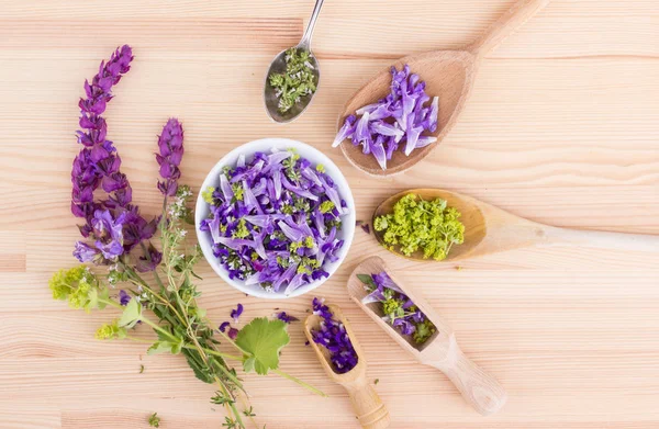 Violeta, flores comestibles — Foto de Stock