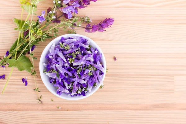 Violet, eetbare bloemen — Stockfoto