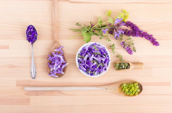 Violeta, flores comestíveis — Fotografia de Stock
