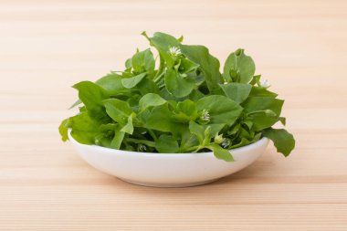  fresh, green chickweed  clipart