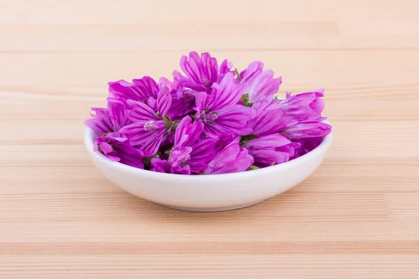 Gemeenschappelijke kaasjeskruid bloemen — Stockfoto
