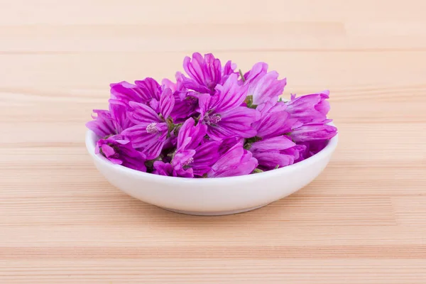 Fiori di malva comuni — Foto Stock