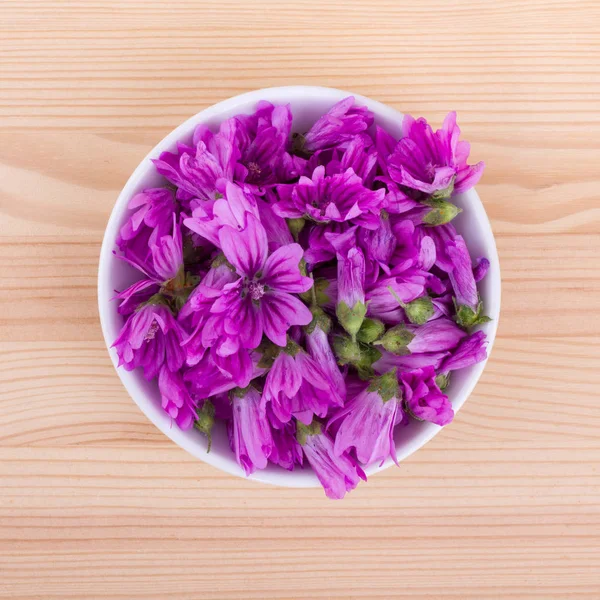 Gemeenschappelijke kaasjeskruid bloemen — Stockfoto