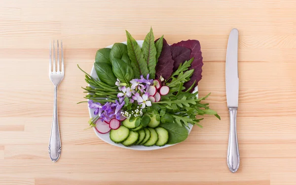 Frischer, roher Salat — Stockfoto