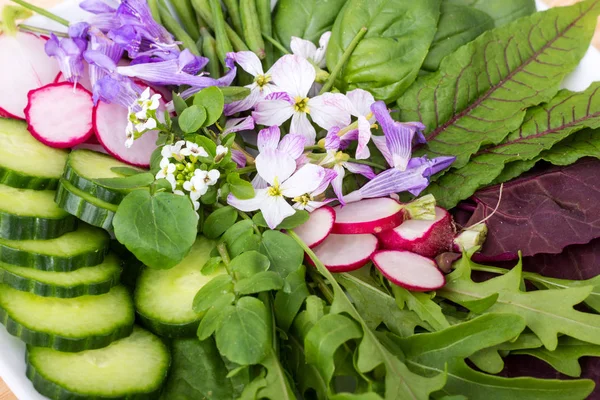 Insalata fresca e cruda — Foto Stock