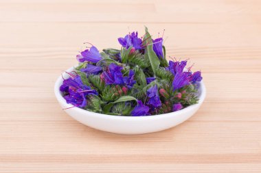 Viper's bugloss, çiçekleri