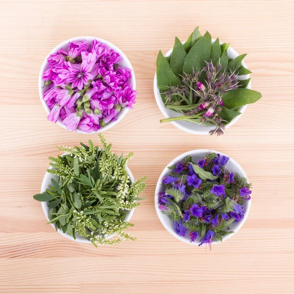 Bowls of different flowers — Stock Photo, Image