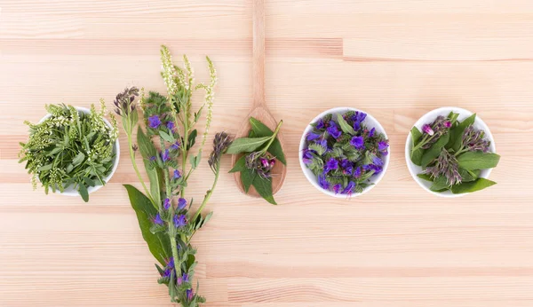 Skålar av olika blommor — Stockfoto