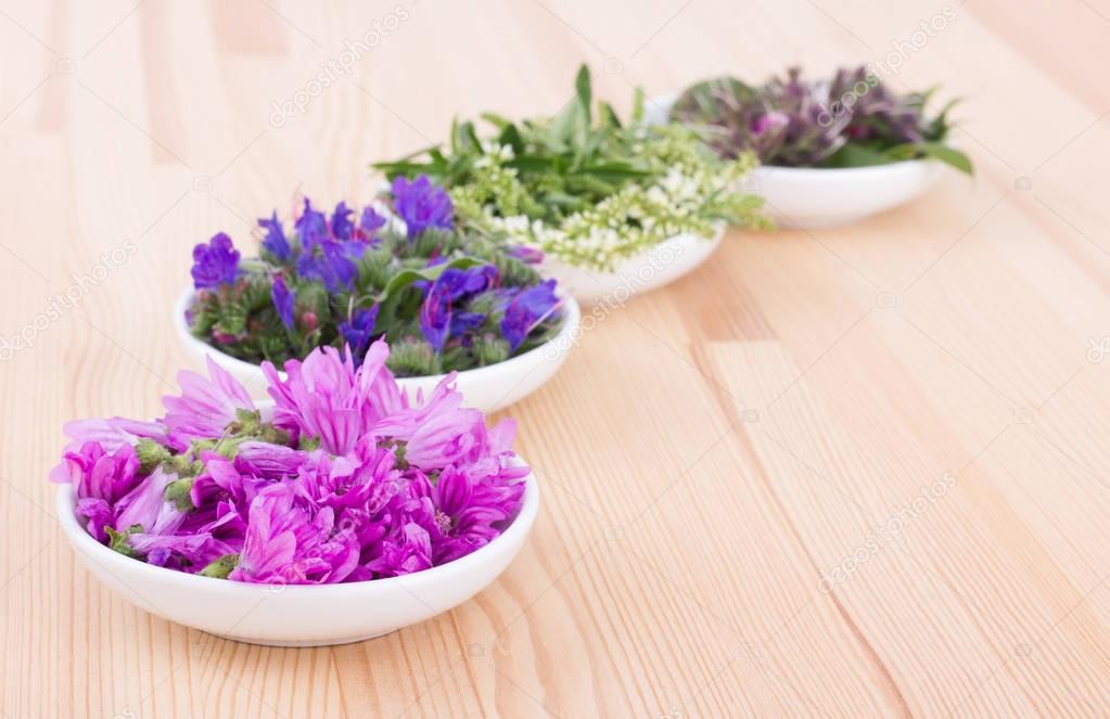 Bowls of different flowers